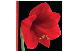 Klasické fotoalbum Botanics 29x32/100s. červené