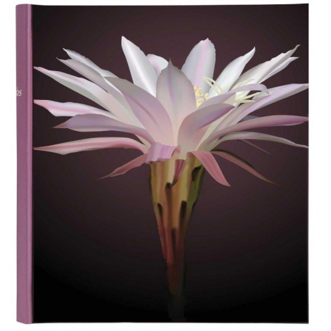 Klasické fotoalbum Botanics 29x32/100s. fialové