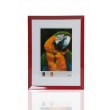 Trendy fotorámeček 20x30 FRESH STYLE tm. červený